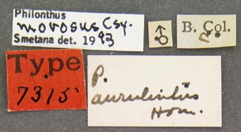 Media type: image;   Entomology 7315 Aspect: labels